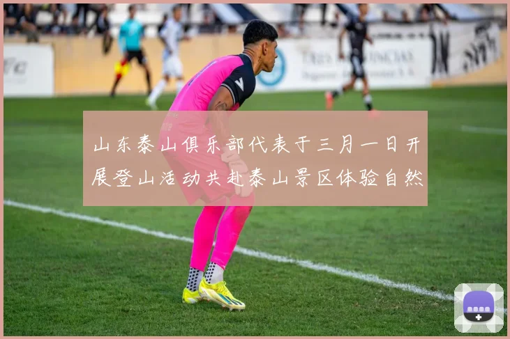山东泰山俱乐部代表于三月一日开展登山活动共赴泰山景区体验自然之美