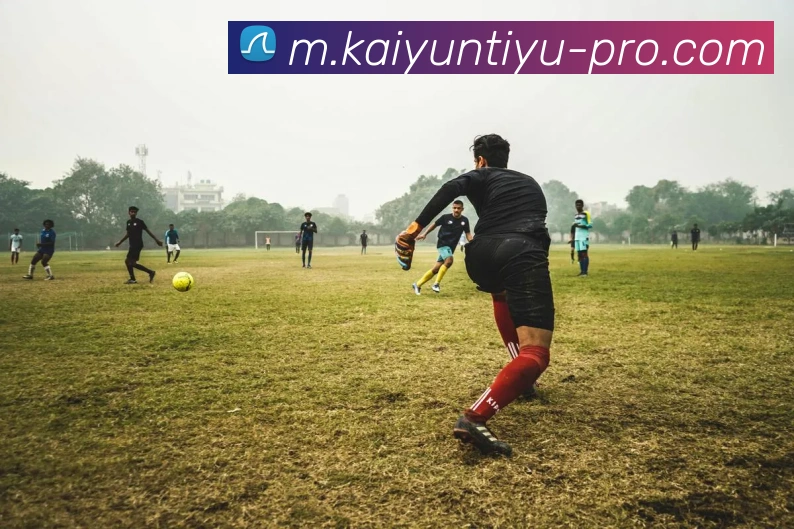 多媒体互动体验