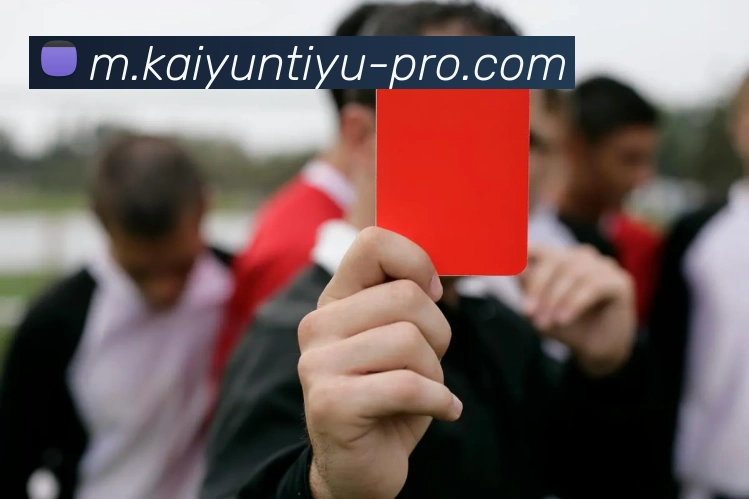 开云APP 体育赛事宣传图